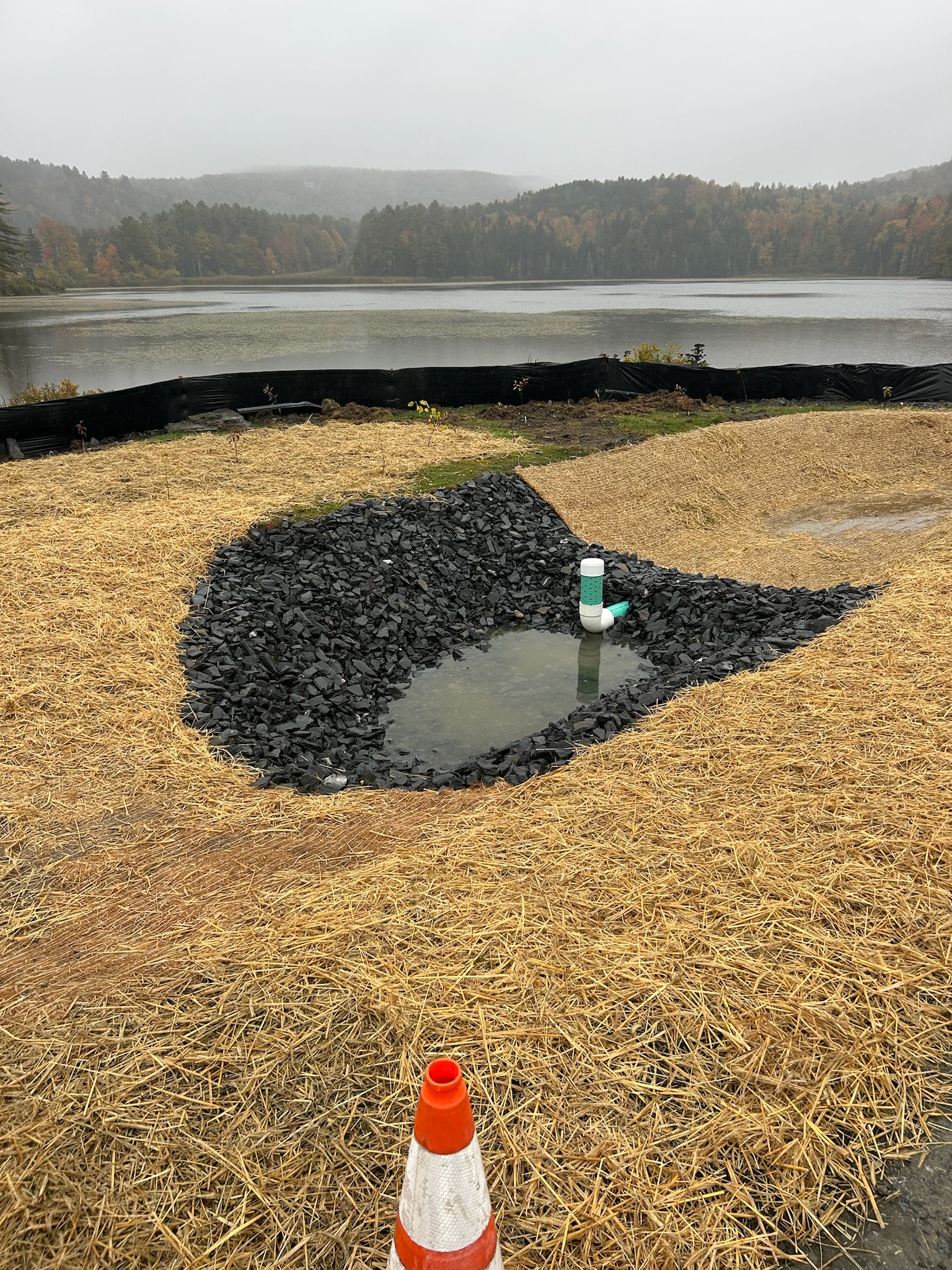 Bakers Pond detail 2