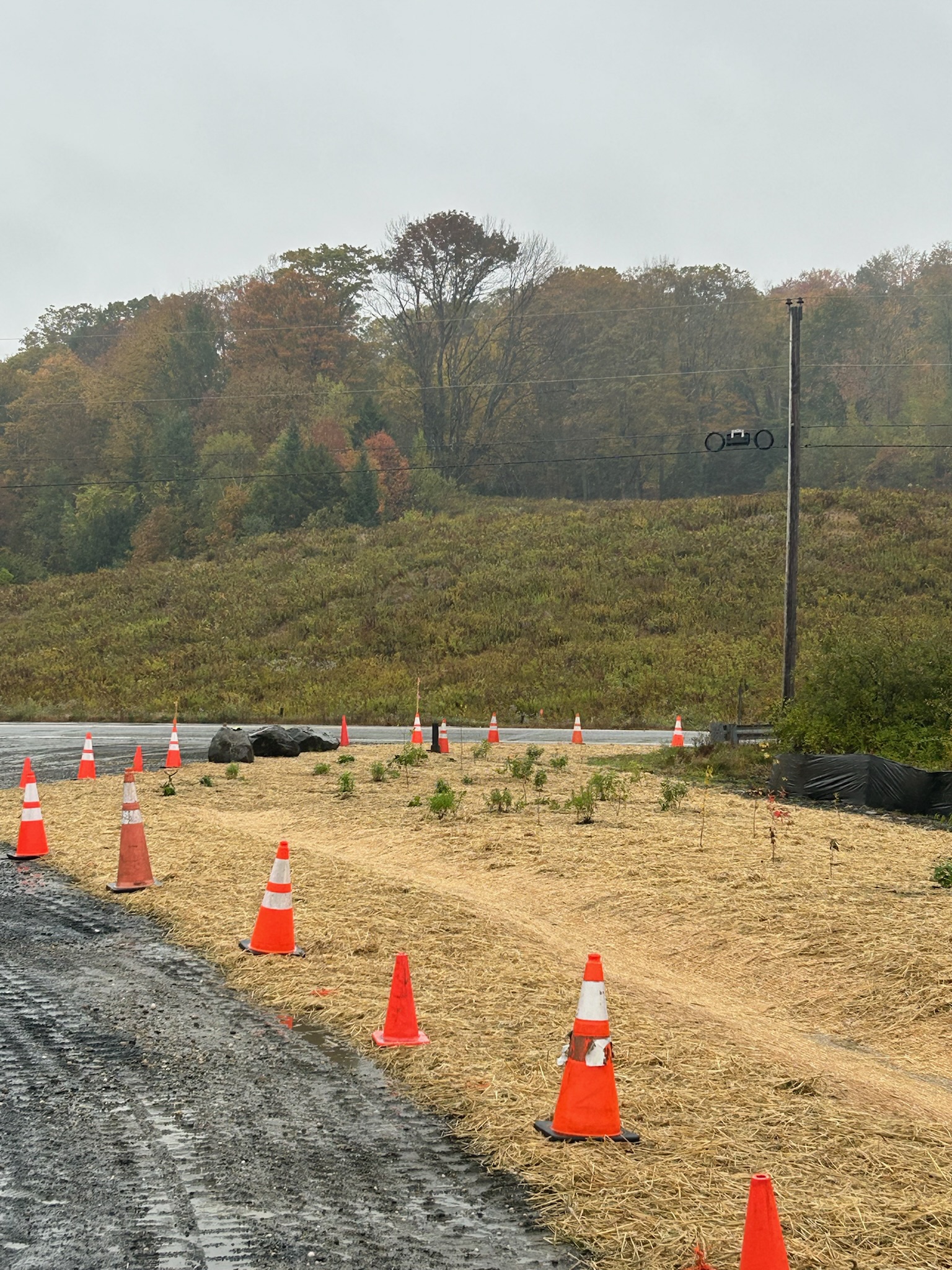 Bakers Pond detail 1