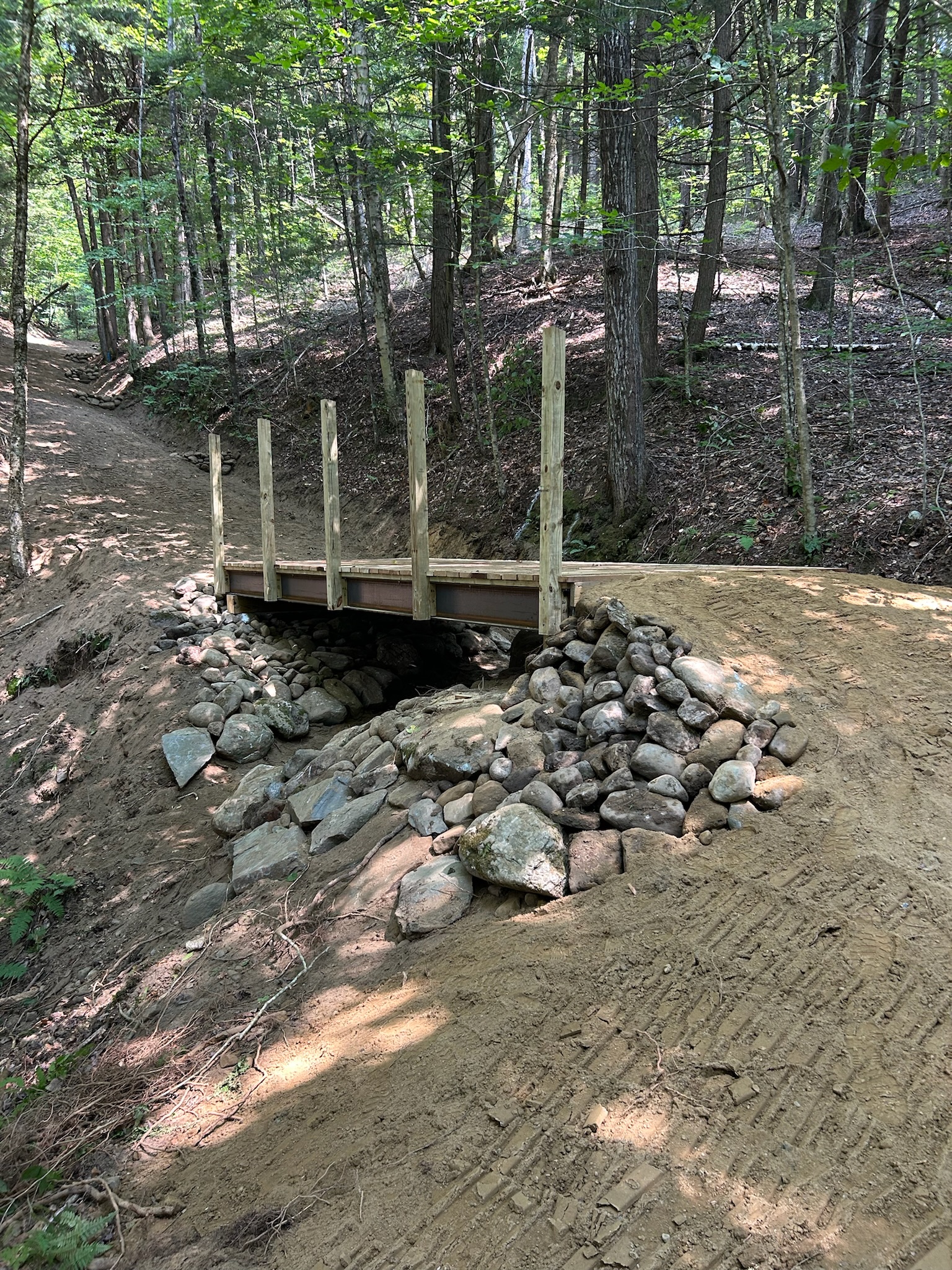 Bow and Arrow detail 1