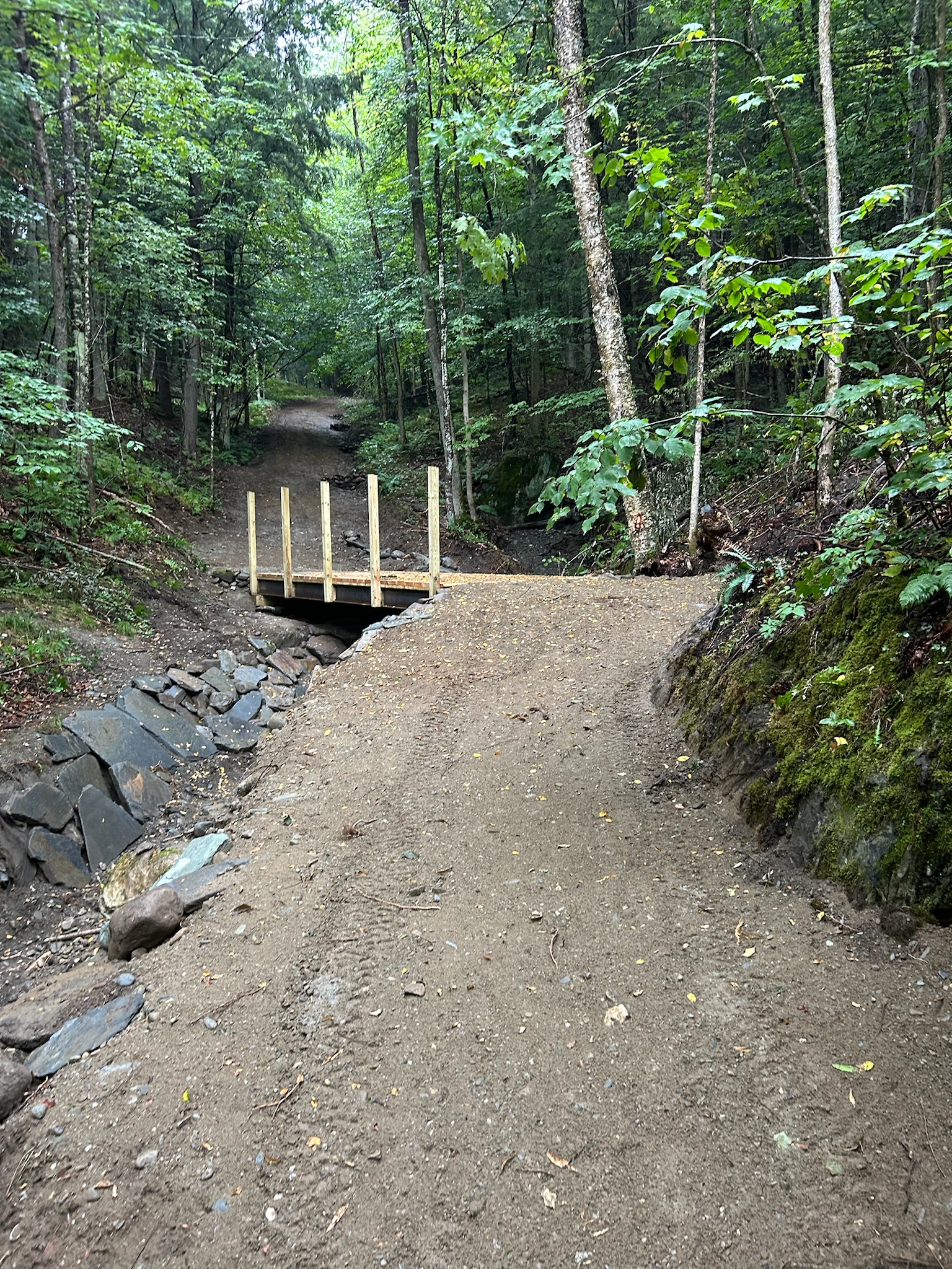 Bow and Arrow detail 2